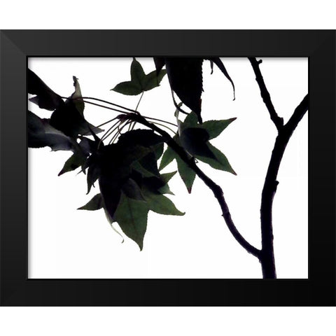 Maple Branch I Black Modern Wood Framed Art Print by Burkhart, Monika