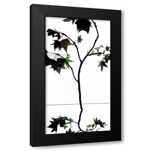 Maple Branch V Black Modern Wood Framed Art Print by Burkhart, Monika