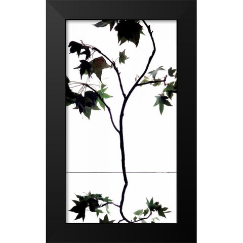 Maple Branch V Black Modern Wood Framed Art Print by Burkhart, Monika