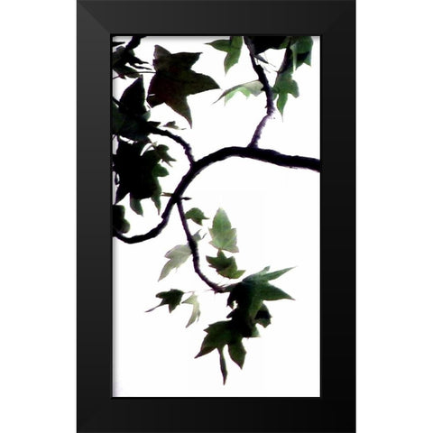 Maple Branch VI Black Modern Wood Framed Art Print by Burkhart, Monika