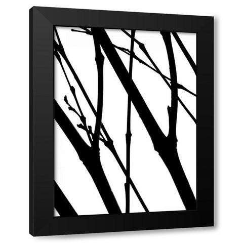 Branch Silhouette I Black Modern Wood Framed Art Print by Burkhart, Monika