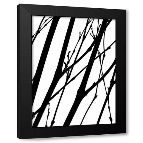Branch Silhouette II Black Modern Wood Framed Art Print by Burkhart, Monika