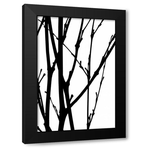 Branch Silhouette III Black Modern Wood Framed Art Print with Double Matting by Burkhart, Monika