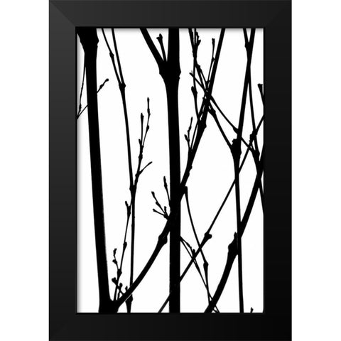Branch Silhouette IV Black Modern Wood Framed Art Print by Burkhart, Monika