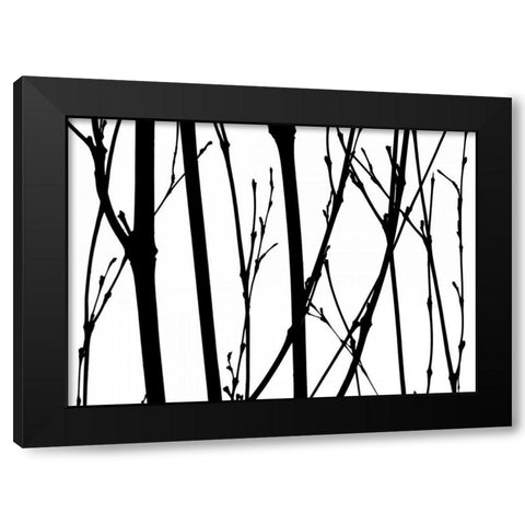 Branch Silhouette V Black Modern Wood Framed Art Print with Double Matting by Burkhart, Monika