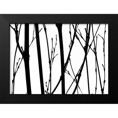 Branch Silhouette V Black Modern Wood Framed Art Print by Burkhart, Monika