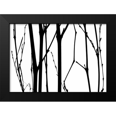 Branch Silhouette VI Black Modern Wood Framed Art Print by Burkhart, Monika