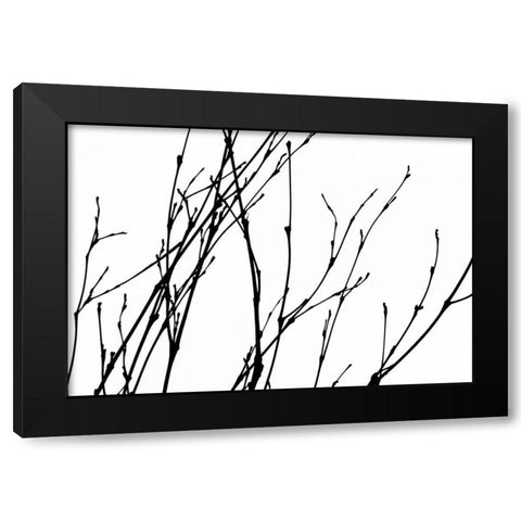 Dancing Branches I Black Modern Wood Framed Art Print by Burkhart, Monika