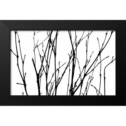 Dancing Branches II Black Modern Wood Framed Art Print by Burkhart, Monika