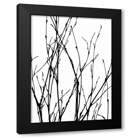 Dancing Branches III Black Modern Wood Framed Art Print by Burkhart, Monika