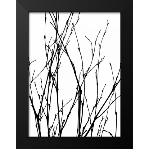 Dancing Branches III Black Modern Wood Framed Art Print by Burkhart, Monika