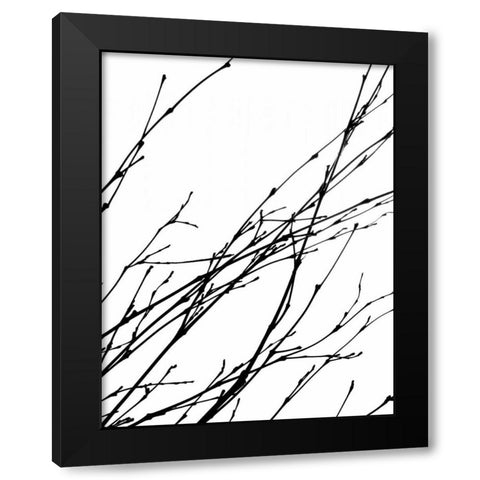 Dancing Branches IV Black Modern Wood Framed Art Print by Burkhart, Monika