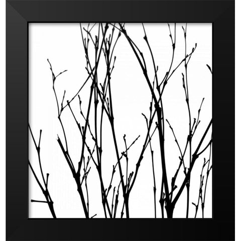 Dancing Branches V Black Modern Wood Framed Art Print by Burkhart, Monika