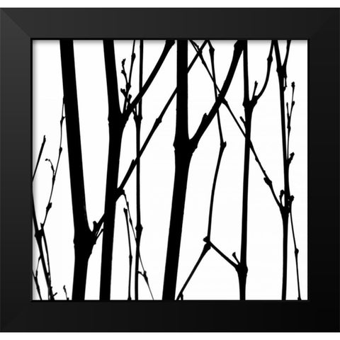 Dancing Branches VI Black Modern Wood Framed Art Print by Burkhart, Monika
