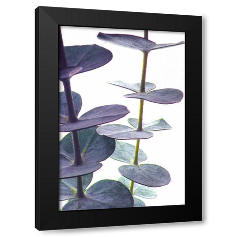 Eucalyptus I Black Modern Wood Framed Art Print with Double Matting by Burkhart, Monika