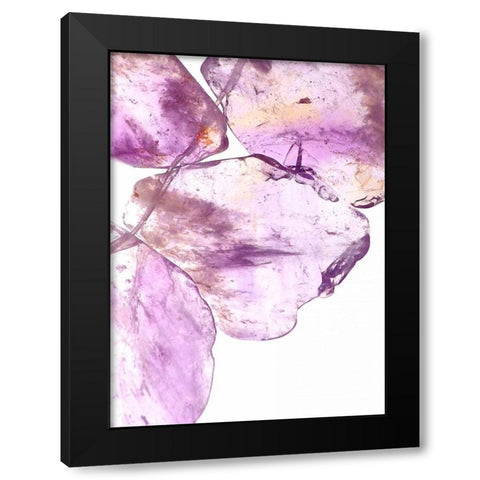 Purple II Black Modern Wood Framed Art Print by Burkhart, Monika