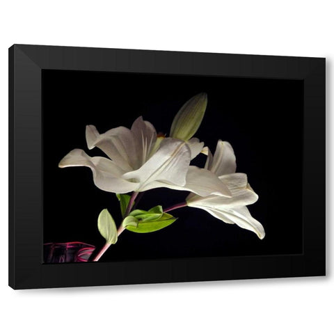 White Lilies II Black Modern Wood Framed Art Print with Double Matting by Burkhart, Monika