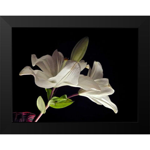White Lilies II Black Modern Wood Framed Art Print by Burkhart, Monika
