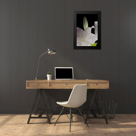 White Lilies IV Black Modern Wood Framed Art Print by Burkhart, Monika