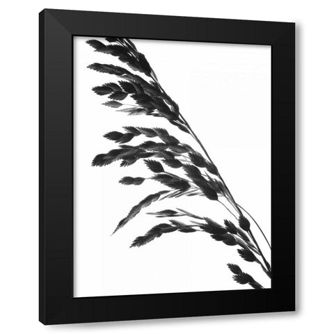 Soliloquy I Black Modern Wood Framed Art Print with Double Matting by Burkhart, Monika