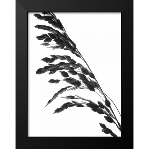 Soliloquy I Black Modern Wood Framed Art Print by Burkhart, Monika