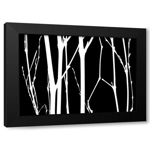 Reverse Silhouette I Black Modern Wood Framed Art Print with Double Matting by Burkhart, Monika
