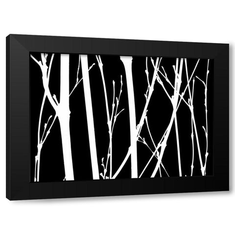 Reverse Silhouette II Black Modern Wood Framed Art Print with Double Matting by Burkhart, Monika