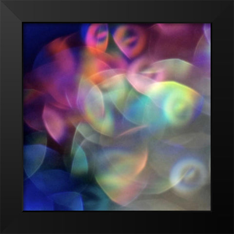 Bedazzled II Black Modern Wood Framed Art Print by Burkhart, Monika