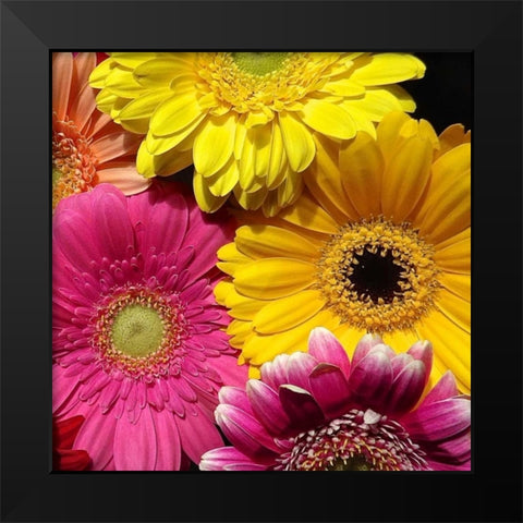 Spring Potpourri I Black Modern Wood Framed Art Print by Burkhart, Monika