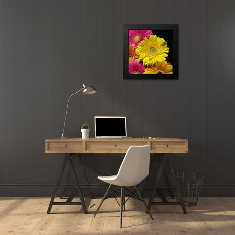 Spring Potpourri II Black Modern Wood Framed Art Print by Burkhart, Monika