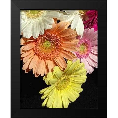 Spring Potpourri III Black Modern Wood Framed Art Print by Burkhart, Monika