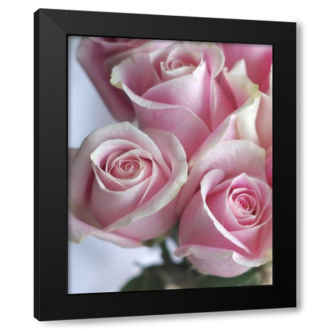 Perfectly Pink I Black Modern Wood Framed Art Print with Double Matting by Burkhart, Monika
