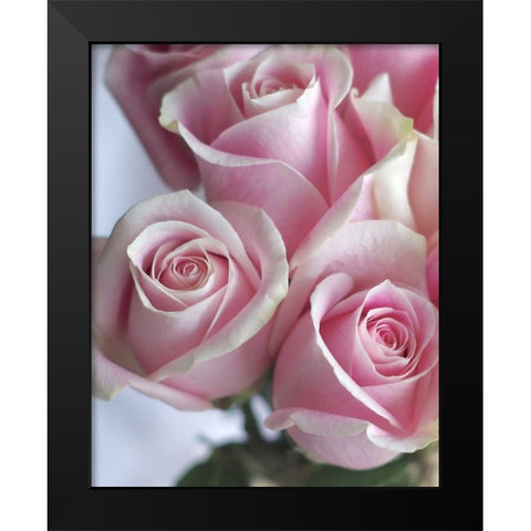 Perfectly Pink I Black Modern Wood Framed Art Print by Burkhart, Monika