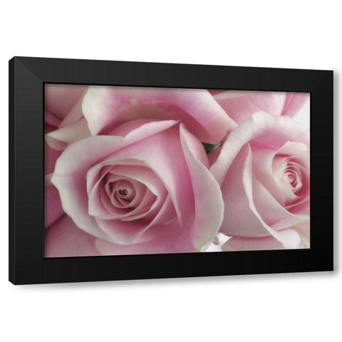 Perfectly Pink IV Black Modern Wood Framed Art Print with Double Matting by Burkhart, Monika