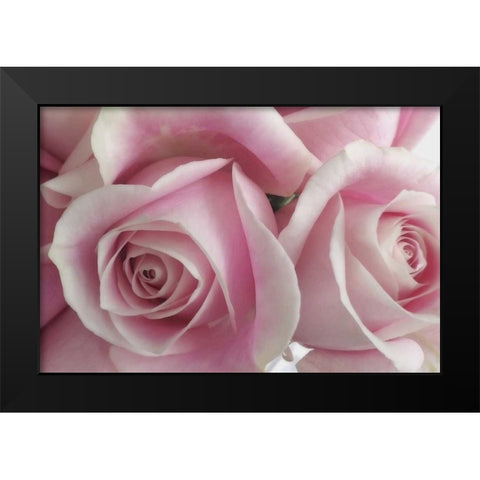 Perfectly Pink IV Black Modern Wood Framed Art Print by Burkhart, Monika