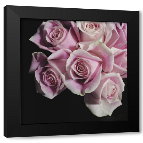 Moonlight and Roses I Black Modern Wood Framed Art Print with Double Matting by Burkhart, Monika