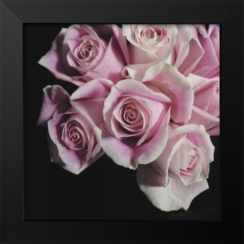 Moonlight and Roses I Black Modern Wood Framed Art Print by Burkhart, Monika