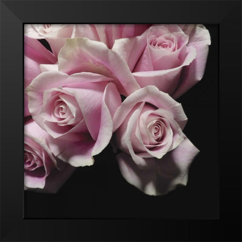 Moonlight and Roses II Black Modern Wood Framed Art Print by Burkhart, Monika