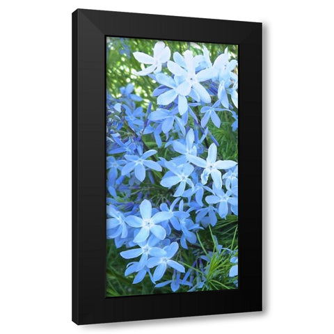 Variations in Blue I Black Modern Wood Framed Art Print by Burkhart, Monika