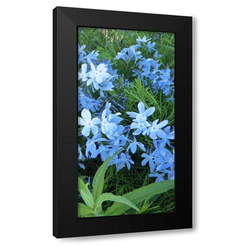 Variations in Blue II Black Modern Wood Framed Art Print by Burkhart, Monika
