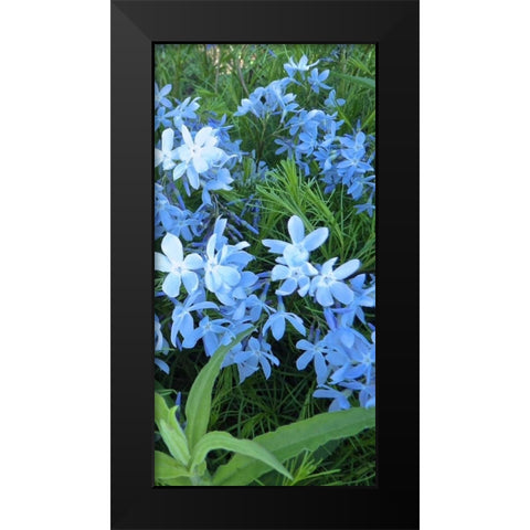 Variations in Blue II Black Modern Wood Framed Art Print by Burkhart, Monika