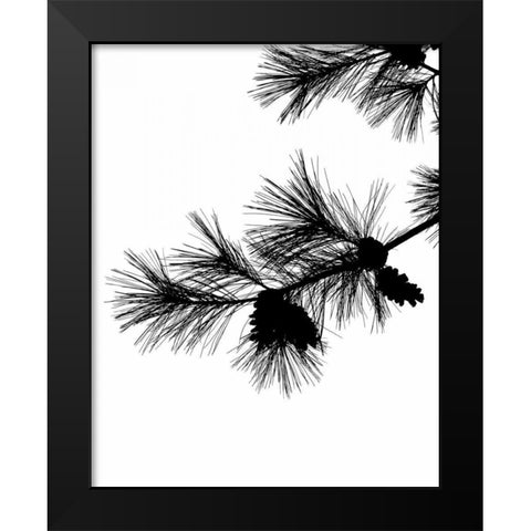 Pine Soliloquy I Black Modern Wood Framed Art Print by Burkhart, Monika