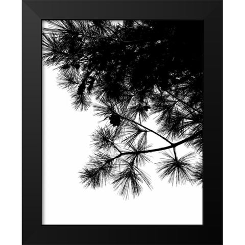 Pine Soliloquy II Black Modern Wood Framed Art Print by Burkhart, Monika
