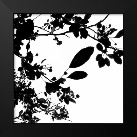 Last of Summer I Black Modern Wood Framed Art Print by Burkhart, Monika