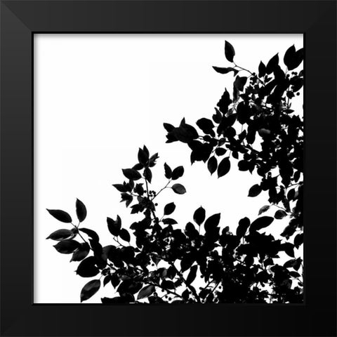 Last of Summer II Black Modern Wood Framed Art Print by Burkhart, Monika