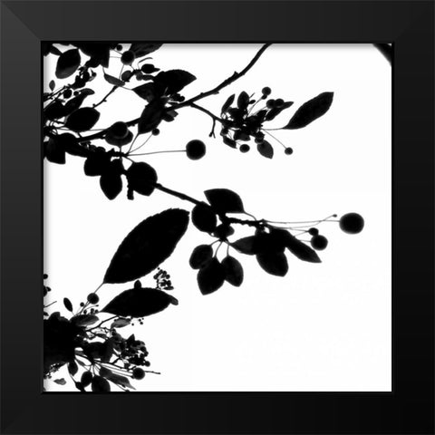 Last of Summer IV Black Modern Wood Framed Art Print by Burkhart, Monika