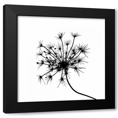 Silhouette daâ‚¬â„¢esprit I Black Modern Wood Framed Art Print with Double Matting by Burkhart, Monika