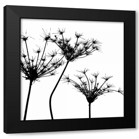 Silhouette daâ‚¬â„¢esprit III Black Modern Wood Framed Art Print by Burkhart, Monika