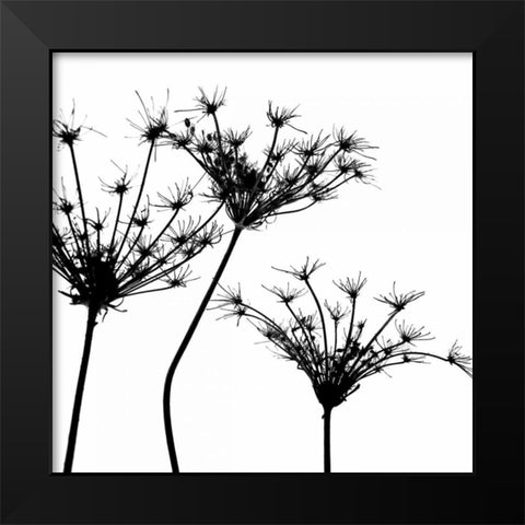Silhouette daâ‚¬â„¢esprit III Black Modern Wood Framed Art Print by Burkhart, Monika