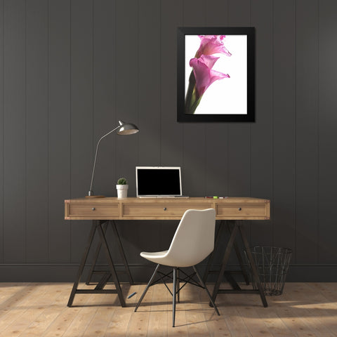 Beauty in the Bloom I Black Modern Wood Framed Art Print by Burkhart, Monika